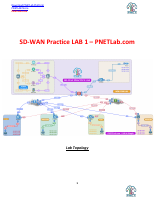 SDWAN Practice LAB 1 PNETLAB.pdf